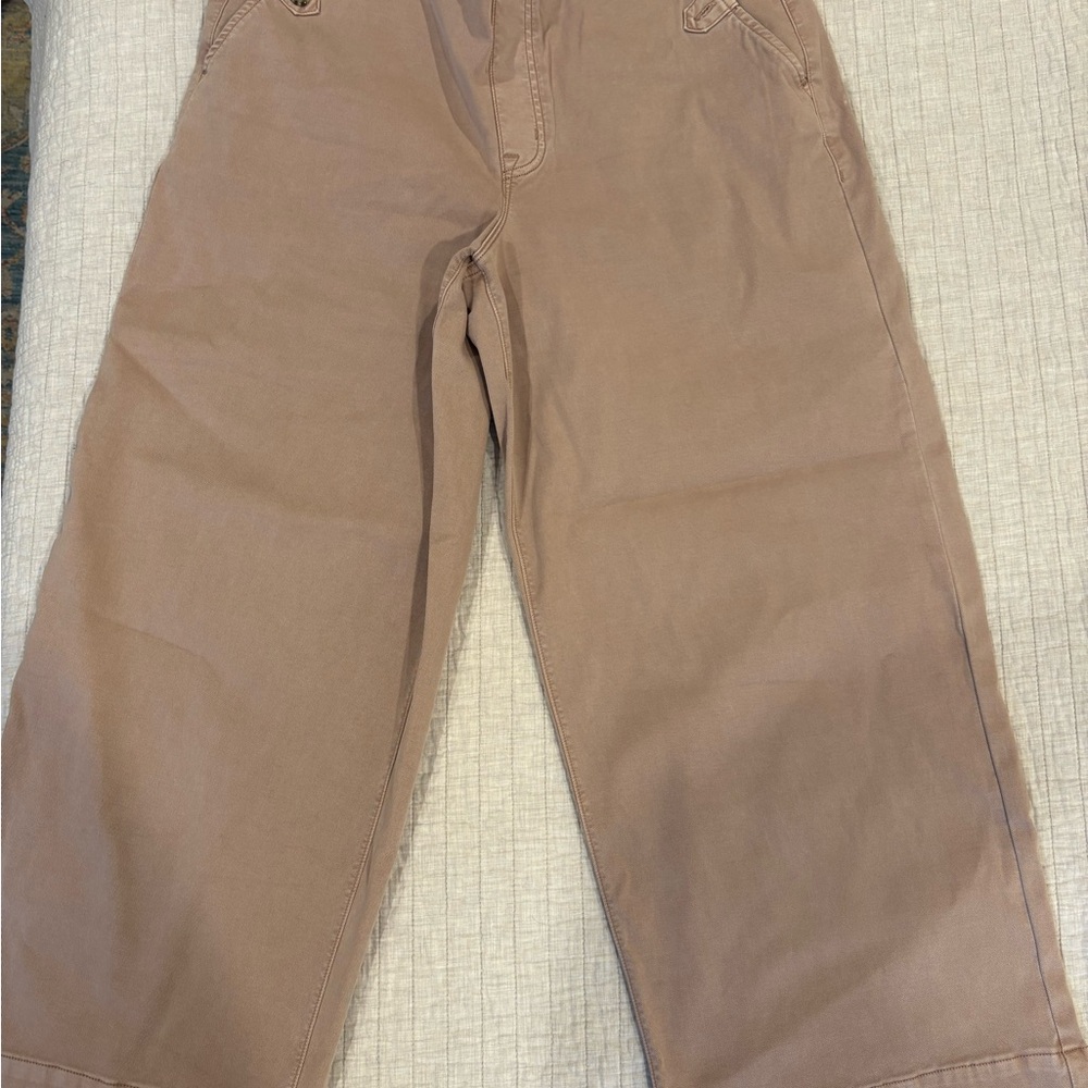 SPANX Cropped Wide Leg Stretch Twill Pants 1X